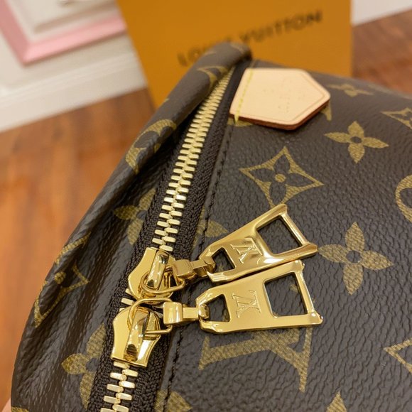 Louis Vuitton Bags Louis Vuittonm43644 Authentic Bumbag Monogram